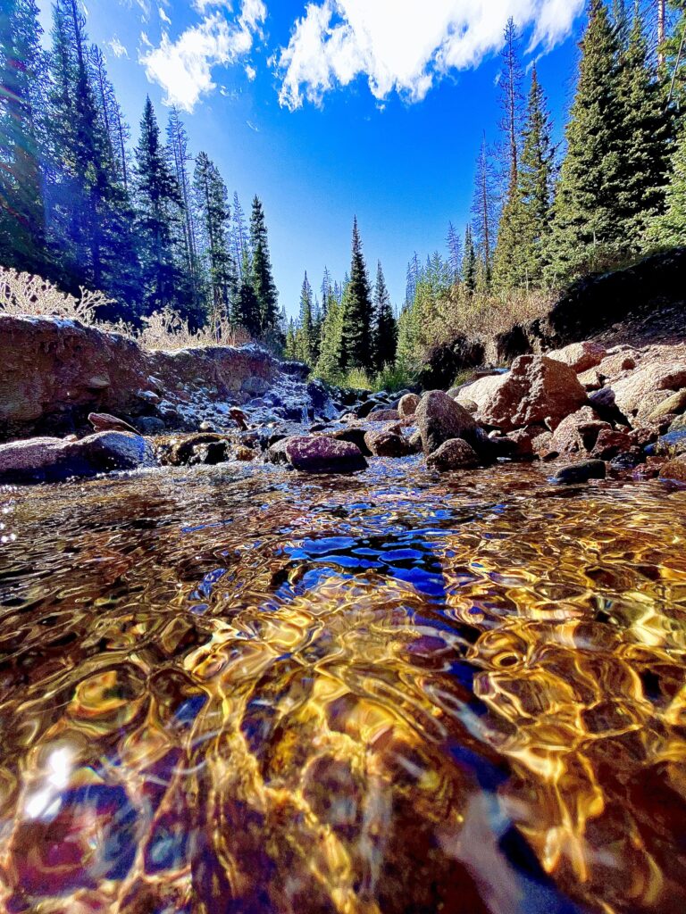 Hidden Valley Creek