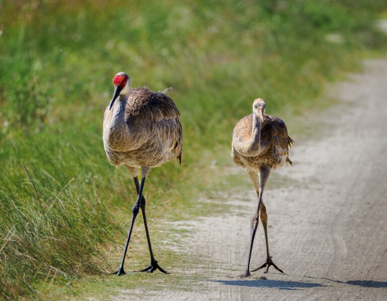 Synchronized