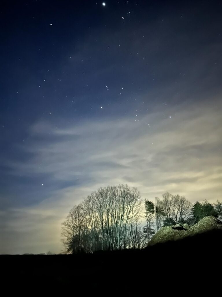 Starry Night