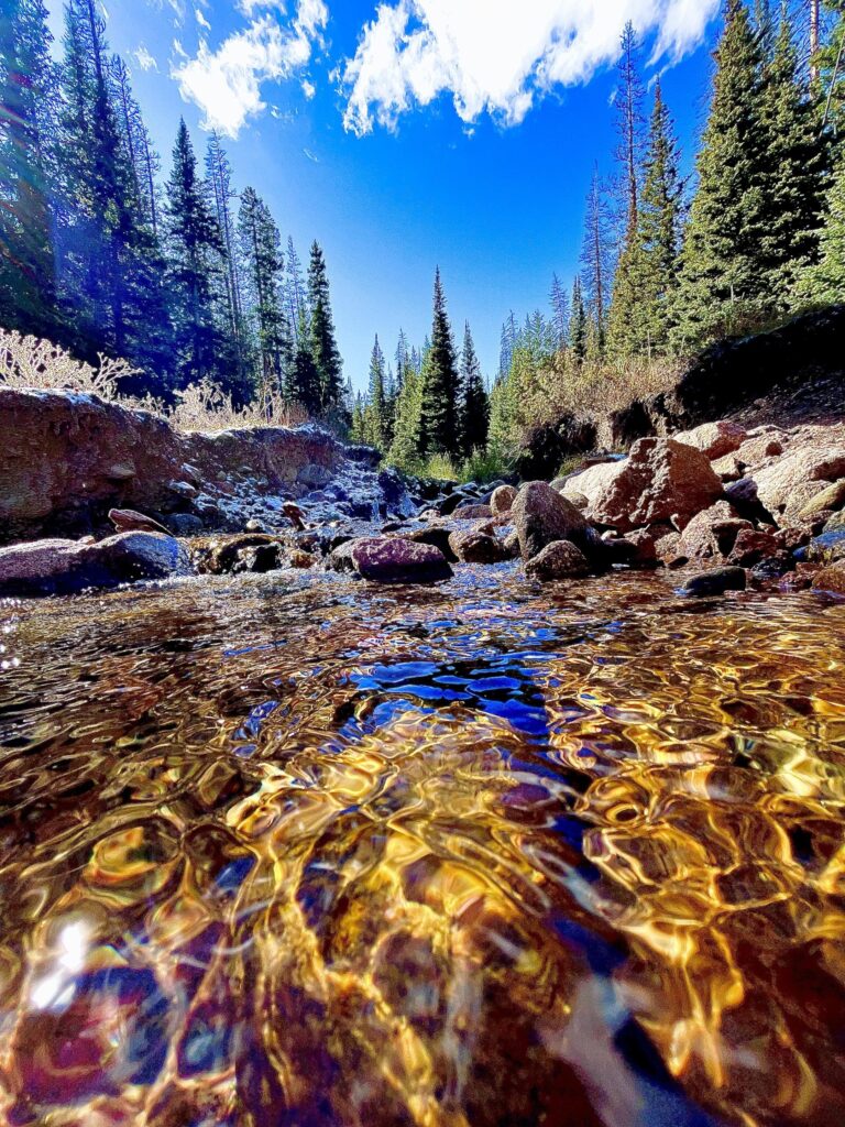 Hidden Valley Creek