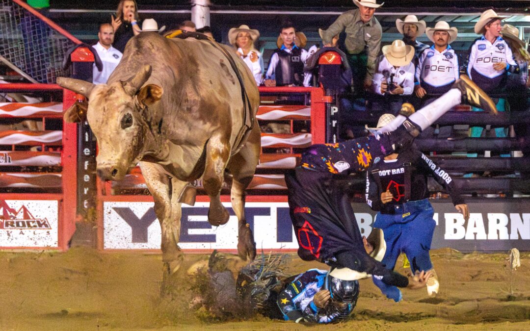 PPC Contest Results – 20250812