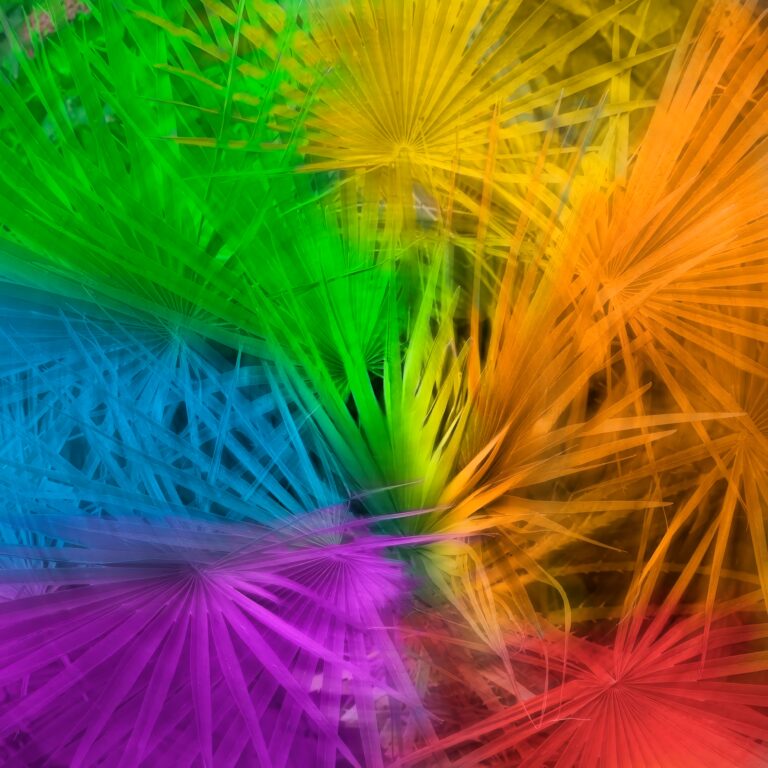 Spinning Fronds of Color
