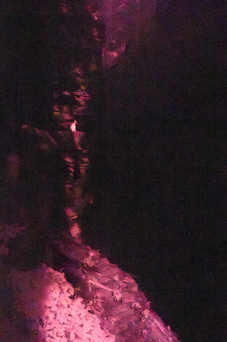Abyss