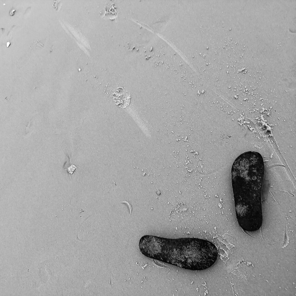 Barefoot From Here Out