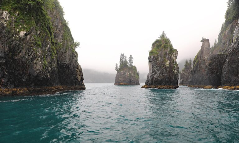 Sailing Kanai Fjord