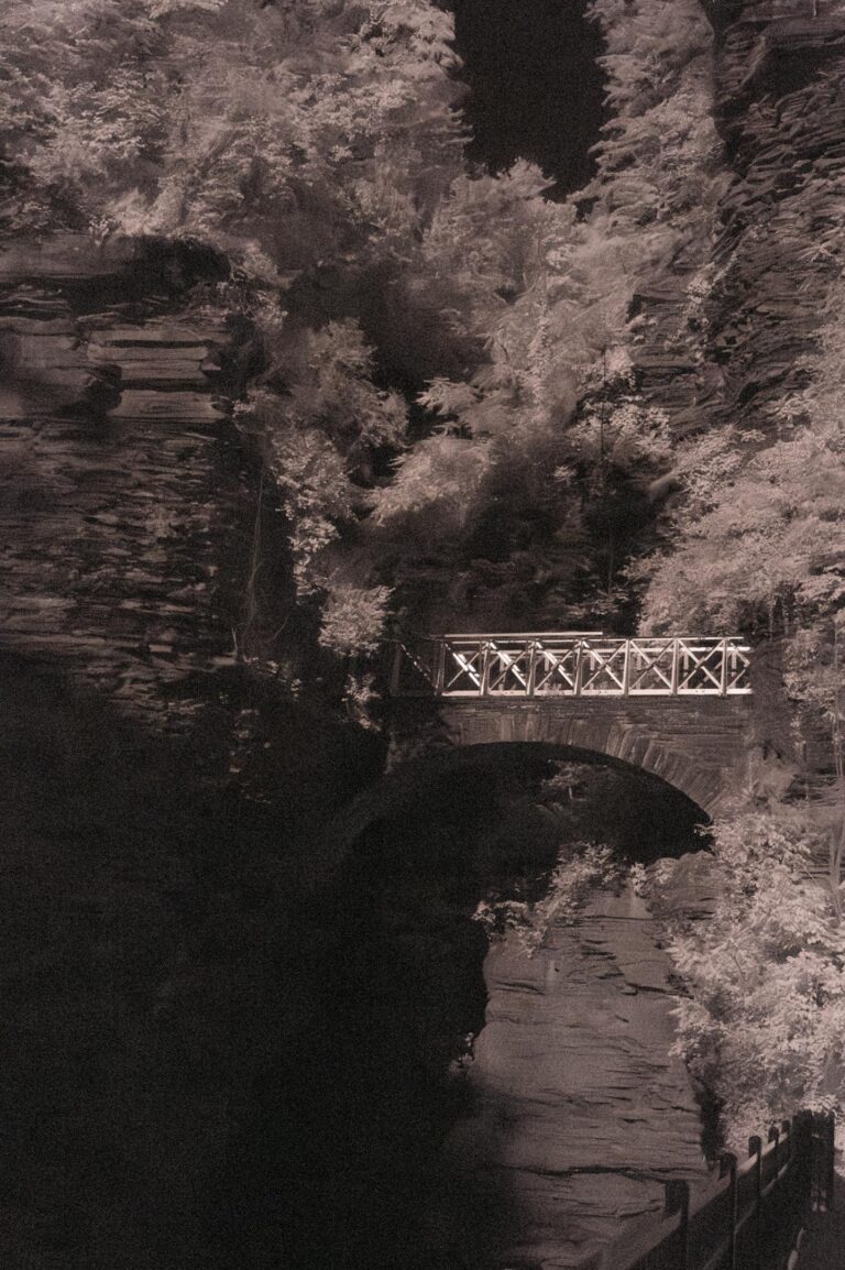 Watkins Glen