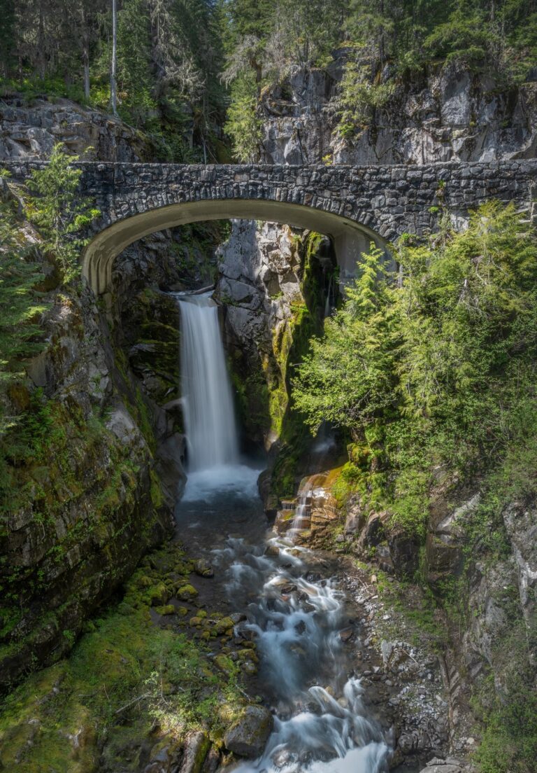 Christine Falls