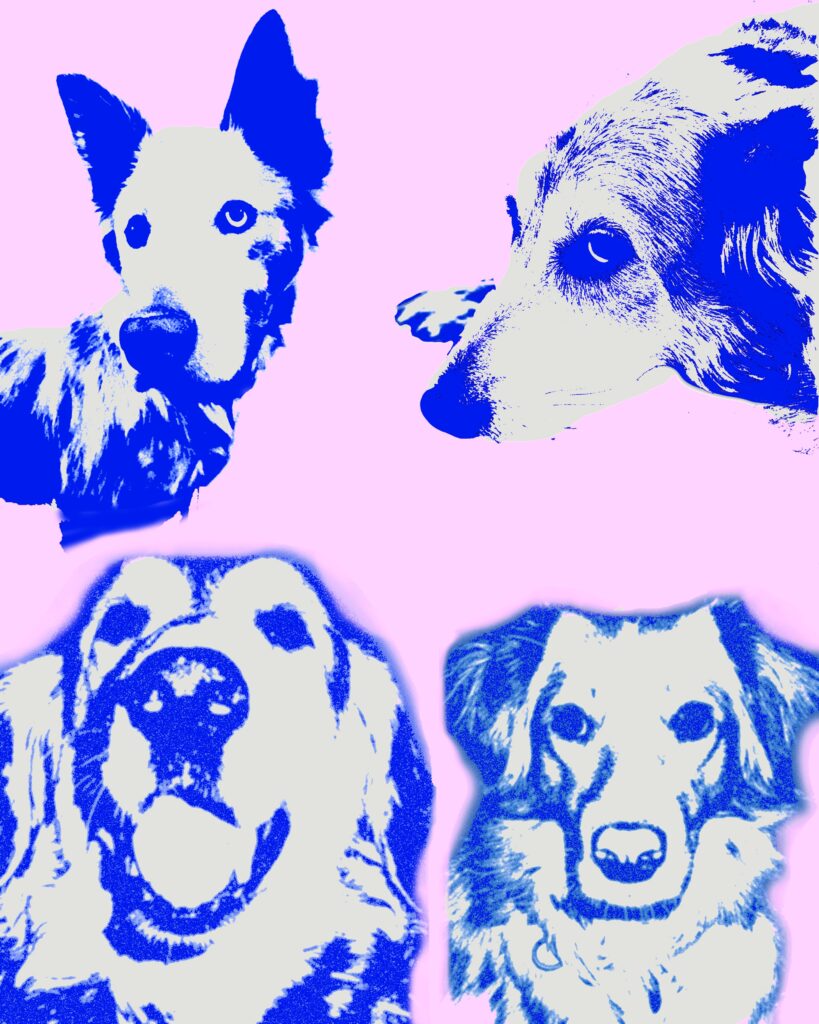 Our Golden Girls 2004 to 2024