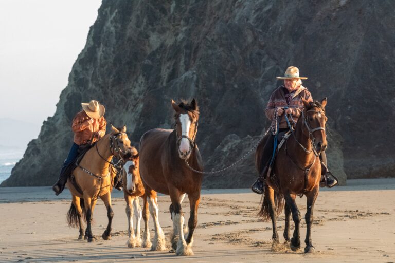 Wranglers