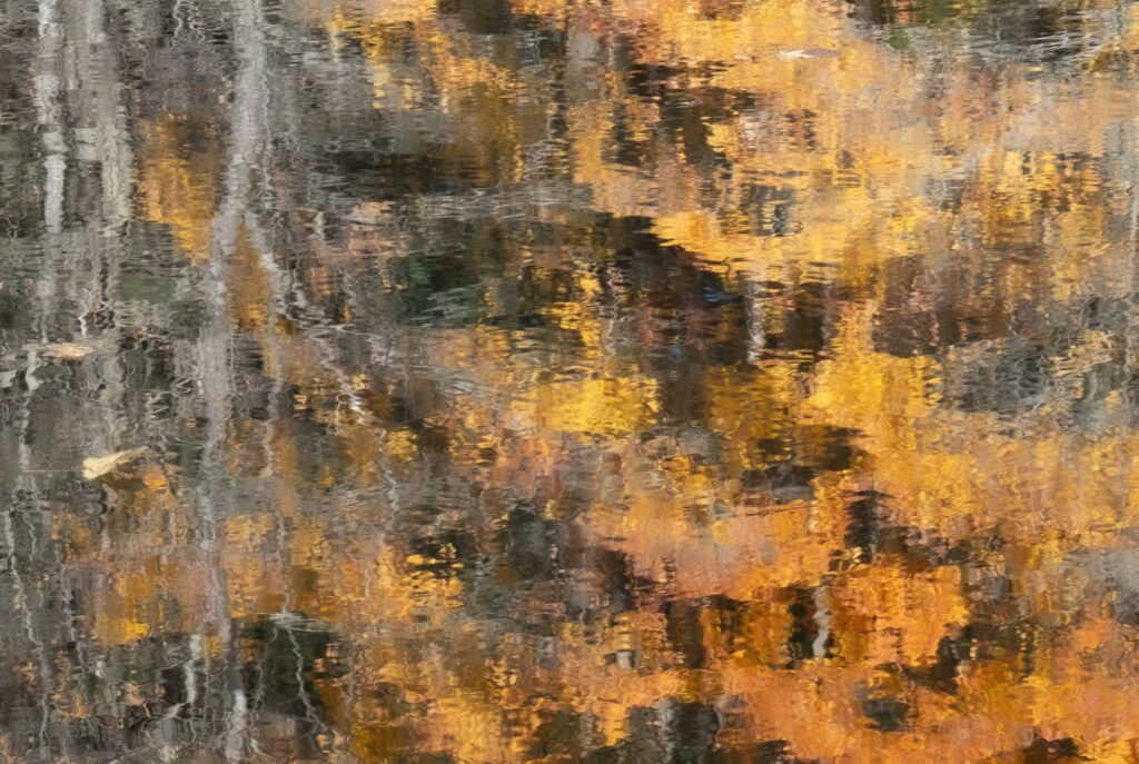 Fall Reflections