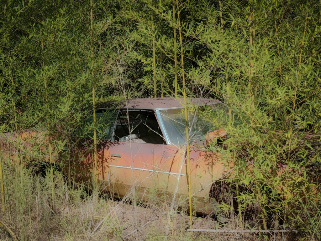 Abandoned