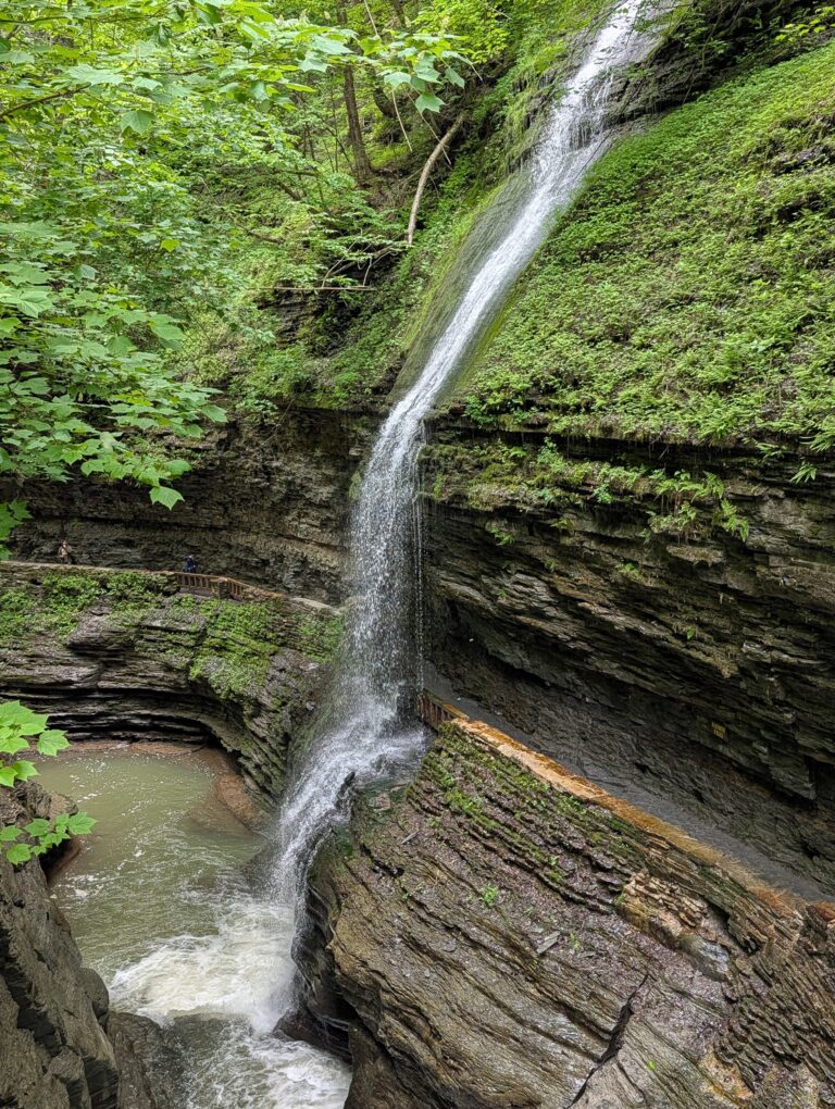 Watkins Glen