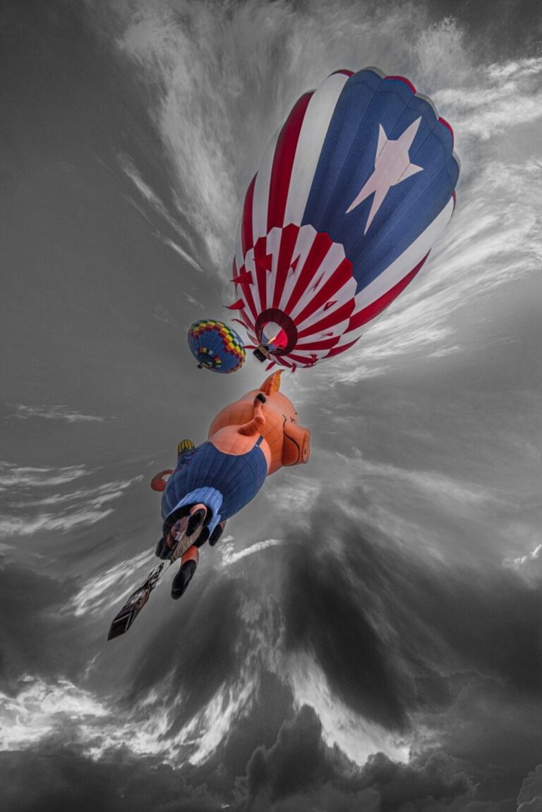 When Pigs Fly