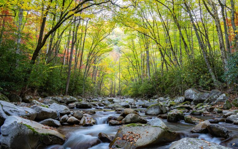 Cathedral