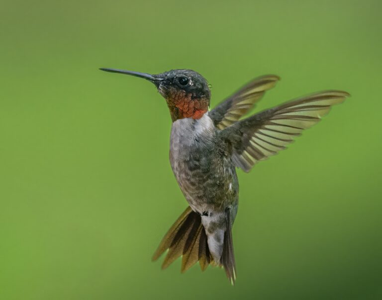 Flying Fast