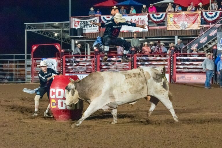 Bull Jumping