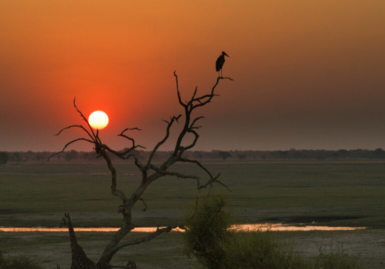 African Sunset