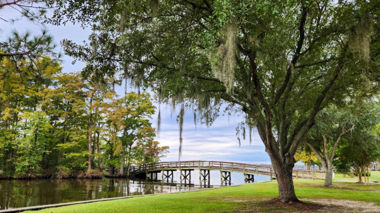 Beaufort Park