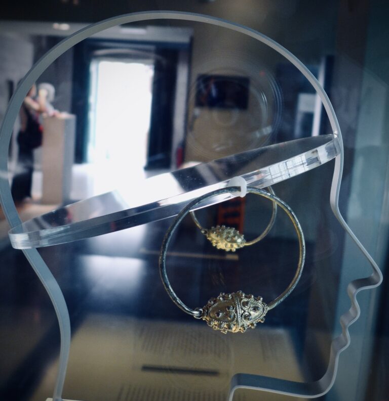 Silhouetted Head With Earings