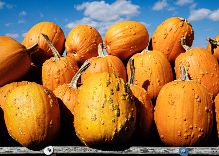 Pumpkins