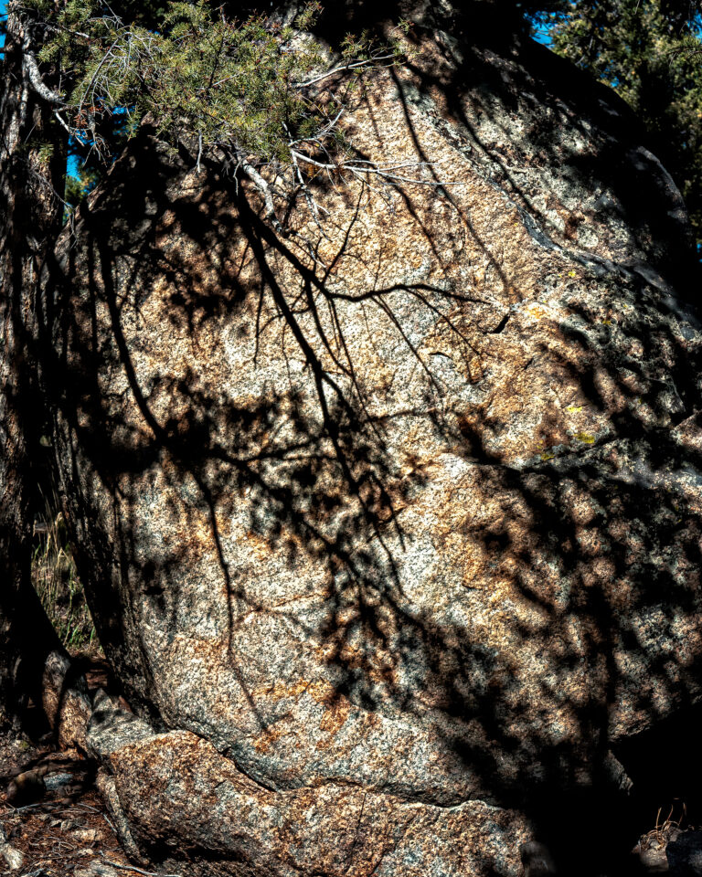 Yellowstone Shadows