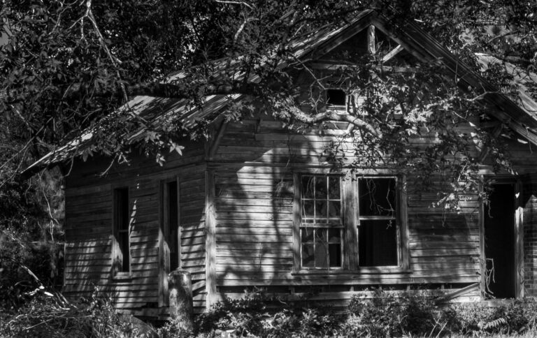 Spooky Shadows